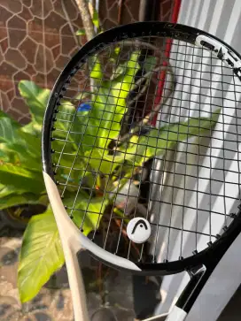 Raket Tenis Bekas Mulus - Head Speed MP 2023 300gr