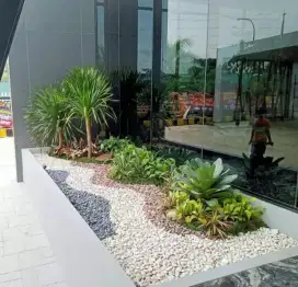 Pembuatan taman kering minimalis