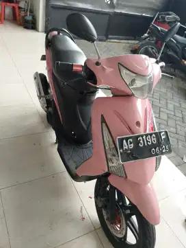 Suzuki spin mulus
