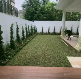 Pemasangan taman minimalis