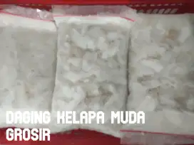 Daging degan Kelapa muda 500 gram Frozen beku GROSIR