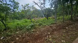 Tanah subang dijual murah