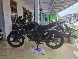 Barang Langka.., Tiger Revo