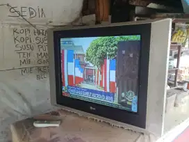 jual tv 29 in slim LG layar dtar plat harga 450 nego siap antar