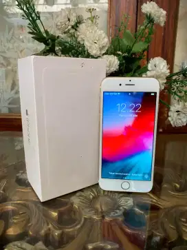 BISA BT/TT iPhone 6 64Gb Gold Fullset