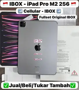 Ipad Pro M2 11 Inch 256 Gb Space Gray Celluler Ibox