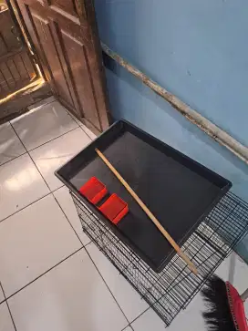 Kandang besi 40x60 kandang love bird kenari tekukur perkutut murai