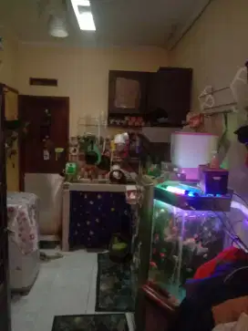 Jual Aquarium fullset