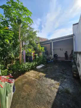 Bismillah Jual Cepat Tanah Stategis Ring 1 Undip tembalang