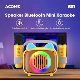 Acome A18 Karaoke Bluetooth Speaker