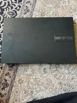 Laptop asus vivobook go