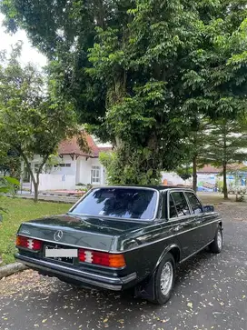 Mercedes-Benz Tiger 1981 Bensin