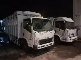 Isuzu Elf Giga NMR 71 Siap Kerja