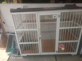 Kandang kucing alumunium lantai keramik & ada lampu LED otomatis nya.