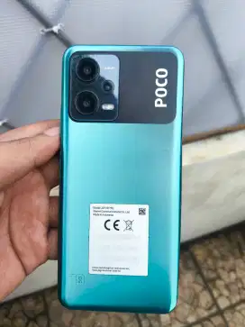 Poco X5 5g ram 8