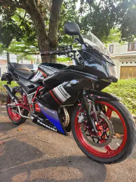 Kawasaki Ninja RR New 2014