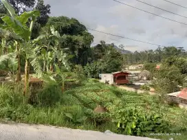 Dijual-tanah dengan luas kurang lebih 60-tumbak/840m².lokasi ciwidey.