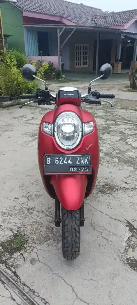 Scoopy Stylish 2017 istimewa