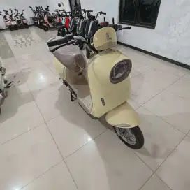 TERLARIS SEPEDA LISTRIK VARILUX PRO DISKON 1 JUTA