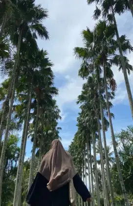 Cari kerja freelance