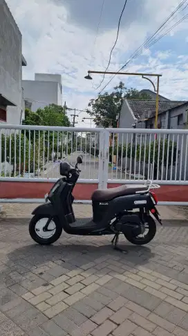 Jual Fazzio 2024