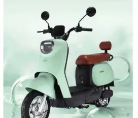Kredit sepeda listrik Saige Promax, Promo Bisa Tanpa DP+ Diskon Harga