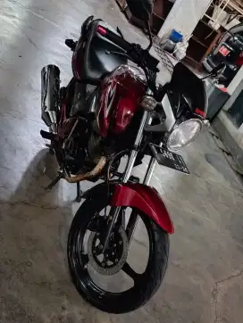 Tiger Revo 2011