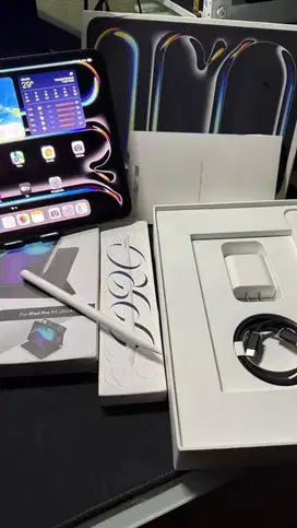 Ipad Pro M4 11 inch 256 GB Garansi Inter sampe Maret+ Apple Pencil Pro