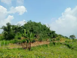 TANAH MURAH UDAH SERTIFIKAT PINGGIR JALAN AREA CIWIDEY
