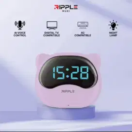 Ripple HELLO NUKI Smart AI AC Remote TV AC Alarm