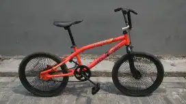 BMX Polygon UK 20