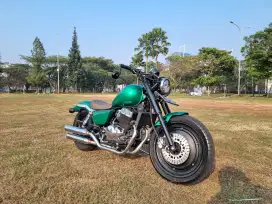 Benelli PE 250 Custom