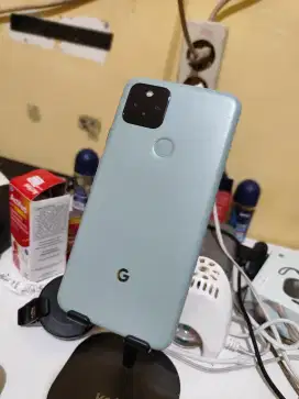 Google Pixel 5 warna sage