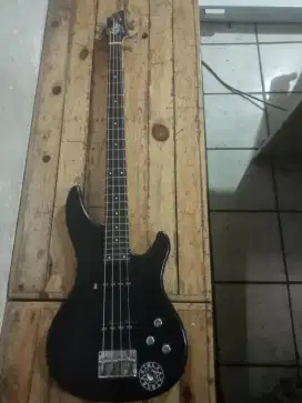 Gitar bass custom