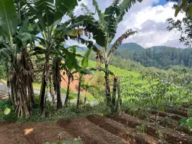 Tanah tawangmangu