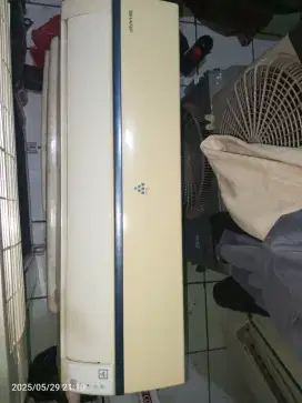 Indoor Sharp 1/2 pk