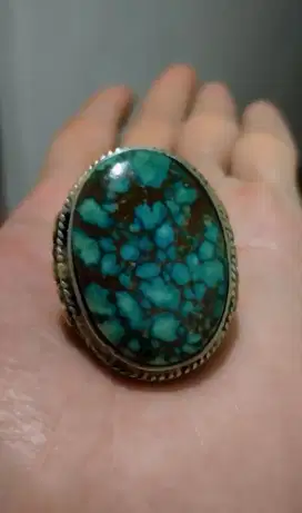 pirus persia lawasan gradasi jumbo