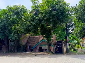 Dijual Rumah  pinggir Jl. utama  Plamongan sari Pedurungan, Semarang