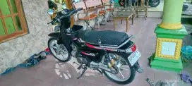 Astrea grand bulus th 1993 AD Sragen
