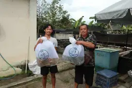 Bibit Ikan Air Tawar Berkualitas, Sertifikat, Pertumbuhan Cepat