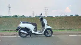 Honda Scoopy prestige good condition 2021