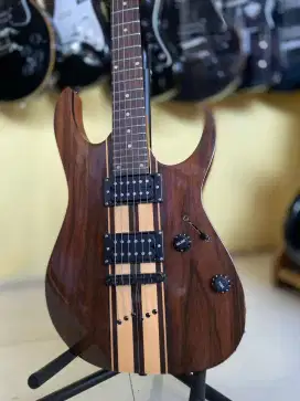 Gitar custom scehcter
