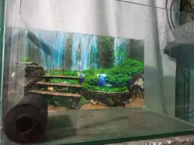 Jual aquarium ikan