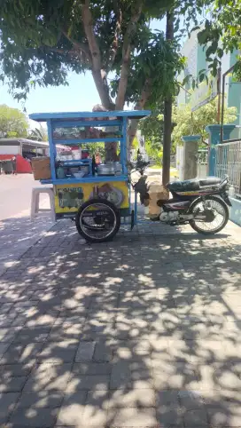 Astrea legenda bentor