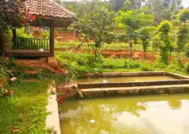 JUAL LAHAN MURAH ADA VILA KAYU, KOLAM IKAN DAN SUNGAI KECIL DI CIMAUNG