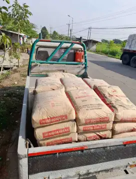 Semen Singa merah 40 kg laris