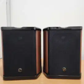 Speaker Swan M100 MKII Professional Crossover Multimedia (Bluetooth)