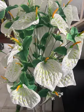 Dicari Pembantu /ART