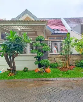 Jasa tukang taman dengan kolam batu alam