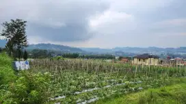 Dijual Cepat KAVLING VILLA LEMBANG 665m³ SHM